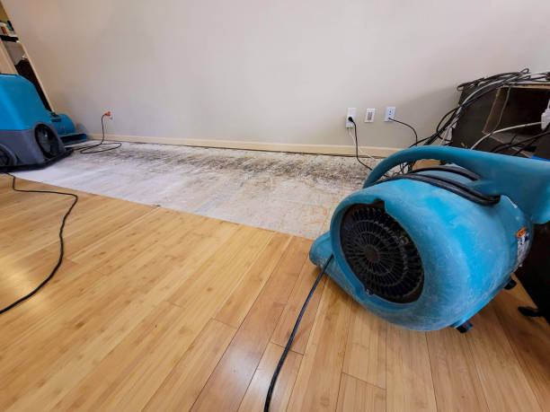 Professional Water Extraction technician working in Kanaranzi, MN